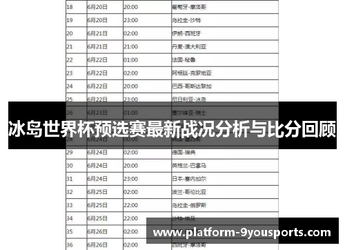 冰岛世界杯预选赛最新战况分析与比分回顾