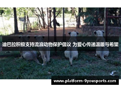 迪巴拉积极支持流浪动物保护倡议 为爱心传递温暖与希望