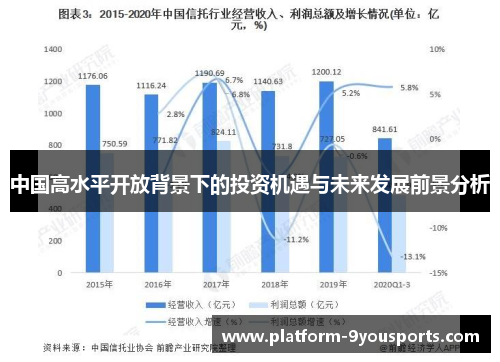 中国高水平开放背景下的投资机遇与未来发展前景分析