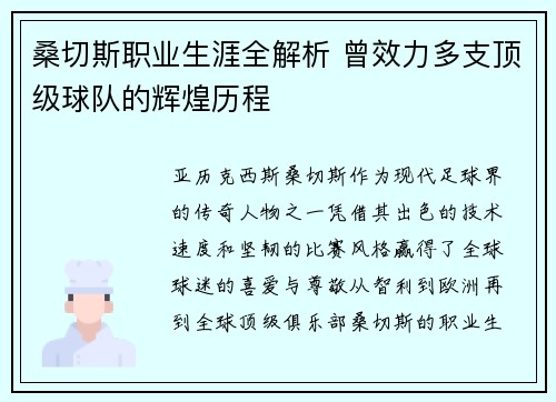 桑切斯职业生涯全解析 曾效力多支顶级球队的辉煌历程